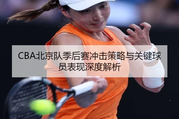 CBA北京队季后赛冲击策略与关键球员表现深度解析